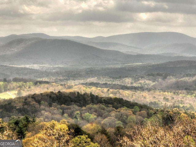 768 Cherokee Cir, Ellijay, GA 30540 - mountain view featuring a view of trees