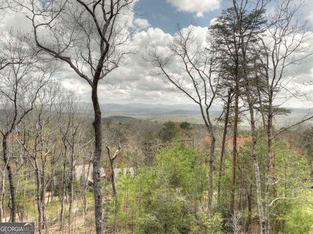 768 Cherokee Cir, Ellijay, GA 30540 - view of landscape featuring a wooded view