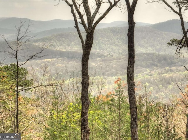 768 Cherokee Cir, Ellijay, GA 30540 - mountain view with a forest view