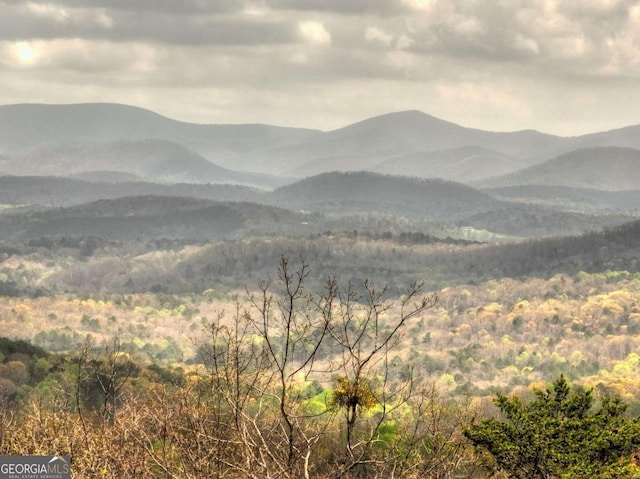 768 Cherokee Cir, Ellijay, GA 30540 - view of mountain feature with a wooded view