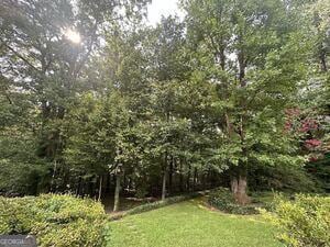 4528 Newcastle Cir, Lithonia, GA 30038 - view of green lawn