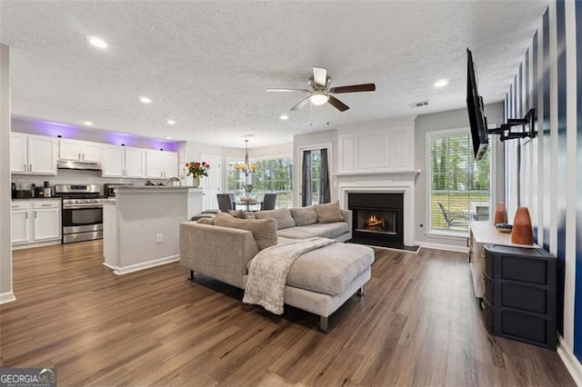 living area featuring a wealth of natural light, a fireplace, a ceiling fan, and dark wood finished floors