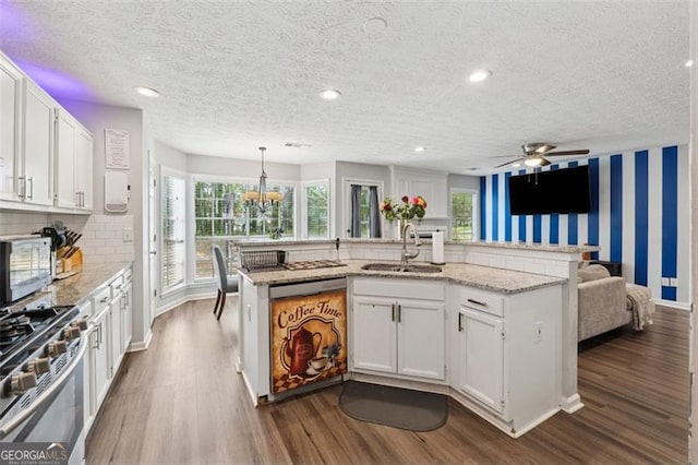 kitchen with dark wood-style floors, stainless steel gas range, a sink, and dishwasher