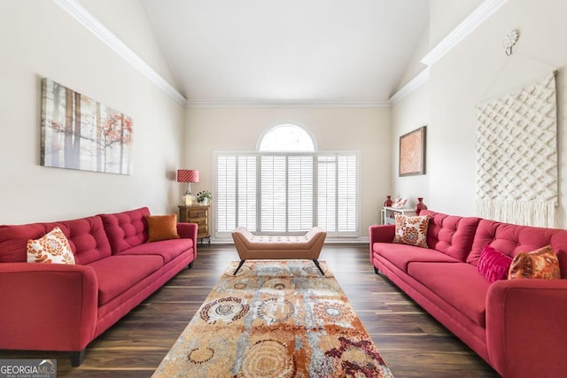 living room with high vaulted ceiling and dark wood-style floors