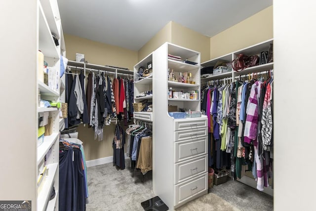 spacious closet with carpet floors