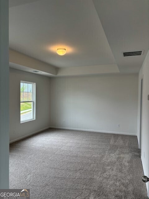 182 Parkwood Dr Unit 32, Dawsonville, GA 30534 - spare room featuring visible vents, carpet flooring, baseboards, and a tray ceiling