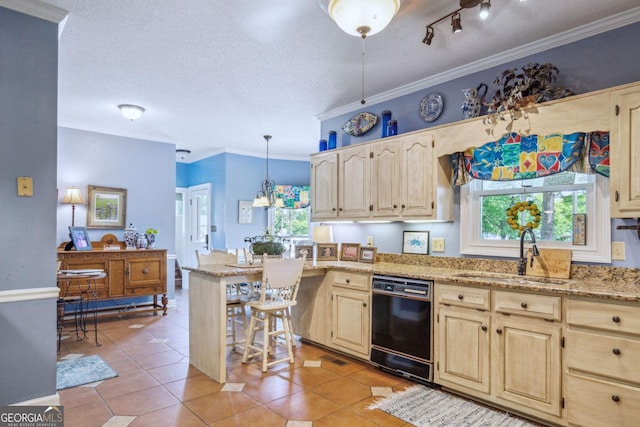 126 N Valhalla Ct, Cordele, GA 31015 - kitchen featuring dishwasher, a sink, light brown cabinetry, healthy amount of natural light, and crown molding