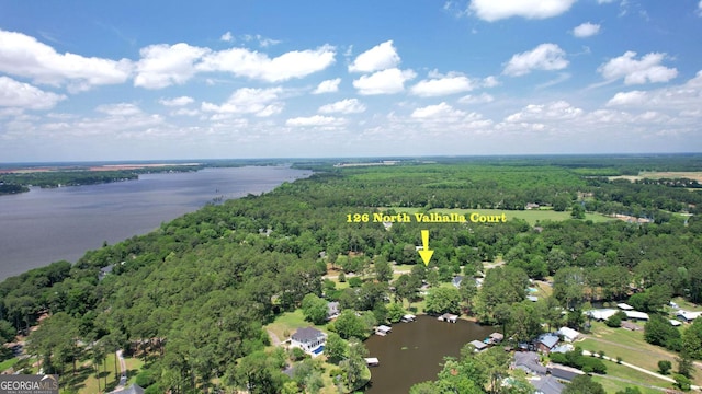 126 N Valhalla Ct, Cordele, GA 31015 - bird's eye view of a heavily wooded area and a nearby body of water