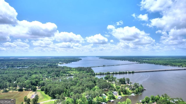 126 N Valhalla Ct, Cordele, GA 31015 - aerial view of a heavily wooded area and a large body of water