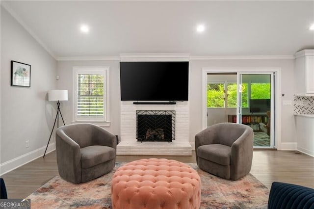 living room featuring crown molding, wood finished floors, and a fireplace