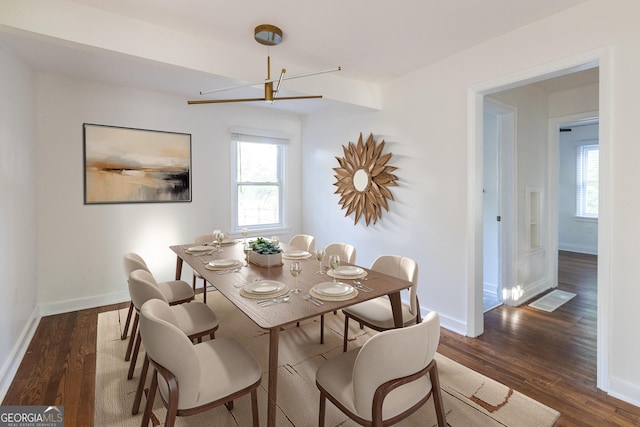 dining room with baseboards, a wealth of natural light, and dark wood-style flooring