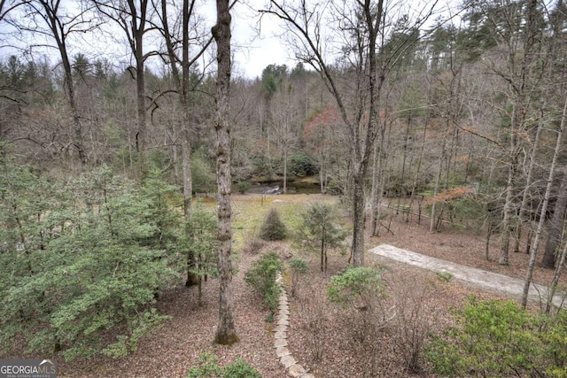 view of yard featuring a view of trees and driveway