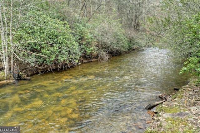 view of water feature featuring a wooded view