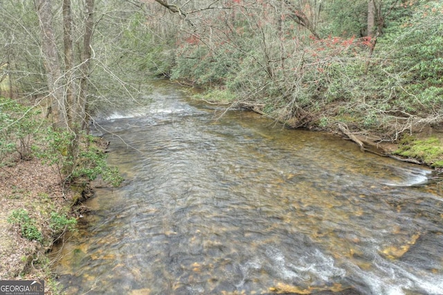 view of water feature