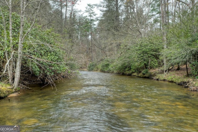 view of water feature featuring a forest view