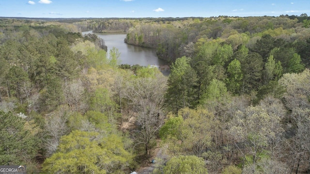 birds eye view of property with a forest view and a water view