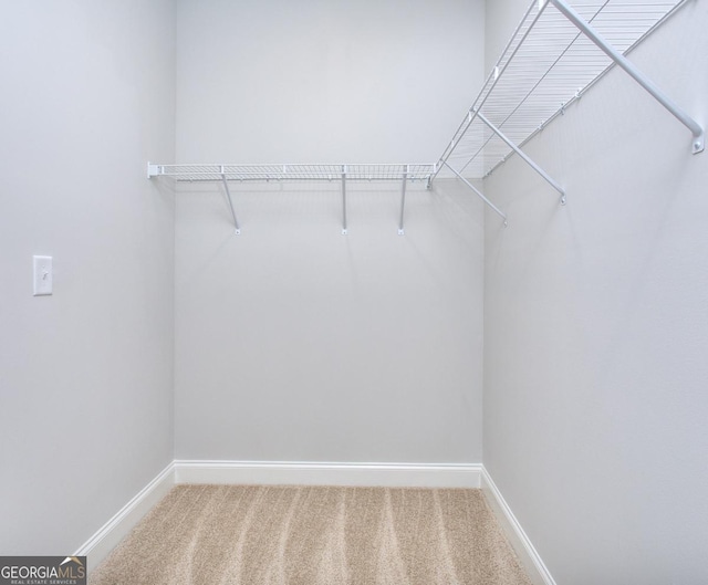 spacious closet with light colored carpet