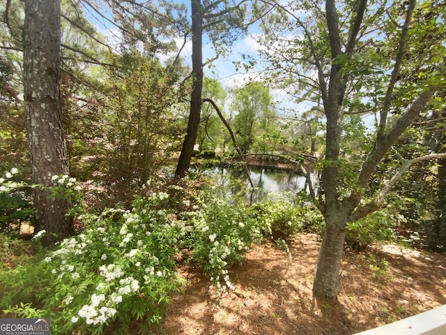 409 Kenley Ct, Mcdonough, GA 30253 - view of undeveloped land