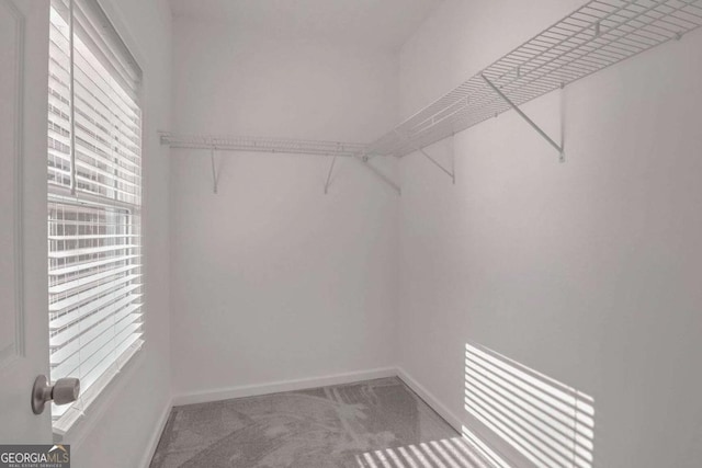 4066 Wild Orchid Ln, Loganville, GA 30052 - spacious closet with carpet