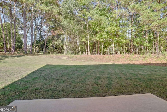 4066 Wild Orchid Ln, Loganville, GA 30052 - view of yard