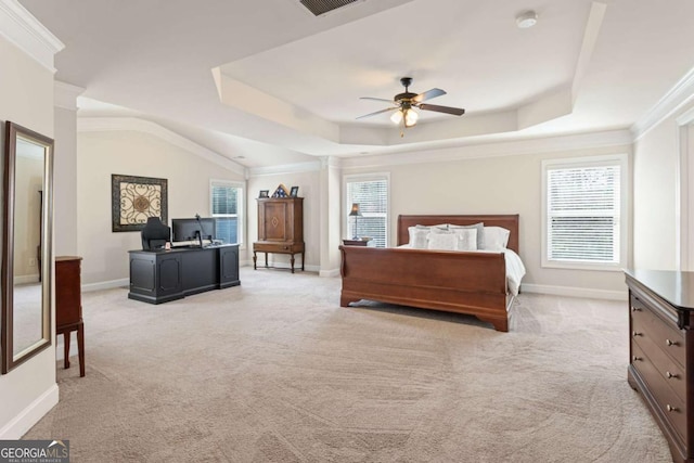 bedroom featuring multiple windows, a tray ceiling, and light colored carpet