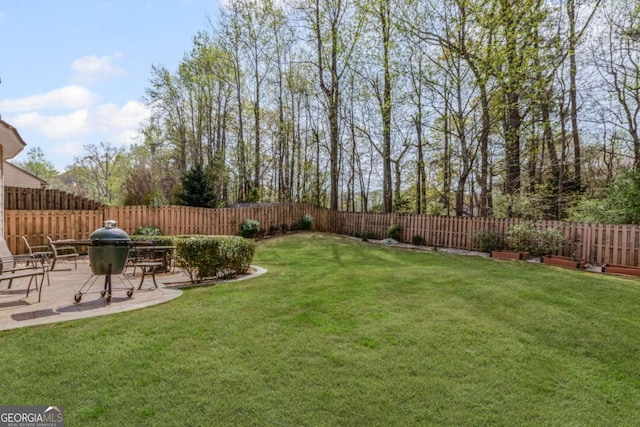 view of yard with a patio area and a fenced backyard