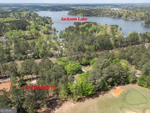 142 Flamingo Drive Lots 84 & 85, Monticello, GA 31064 - birds eye view of property with a forest view and a water view