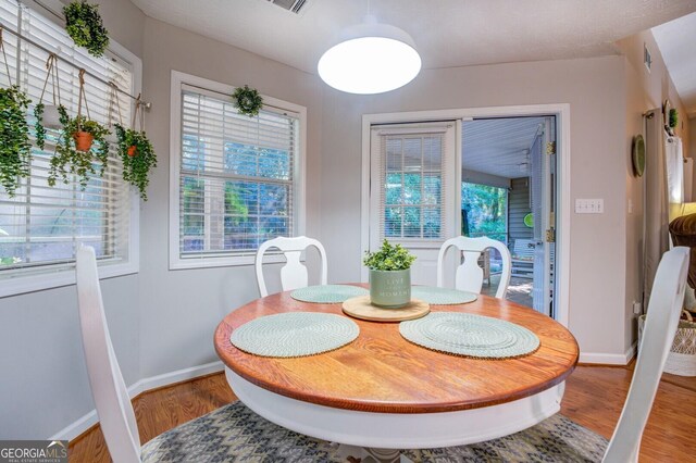 142 Flamingo Drive Lots 84 & 85, Monticello, GA 31064 - dining area featuring wood finished floors, baseboards, and plenty of natural light