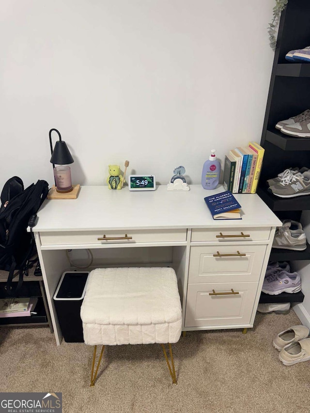 office area featuring carpet