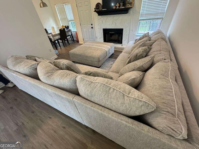living area featuring wood finished floors and a fireplace