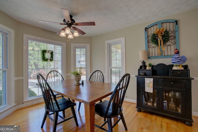 dining room with plenty of natural light, light wood-style floors, and ceiling fan