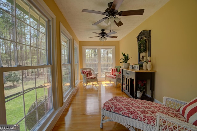 sunroom featuring wood finished floors and a textured ceiling