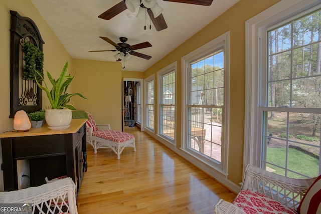 sunroom / solarium featuring a wealth of natural light and wood finished floors