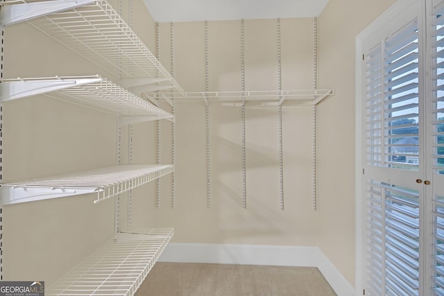 1405 Wilmington Way, Grayson, GA 30017 - walk in closet with carpet