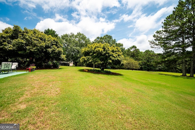 view of yard