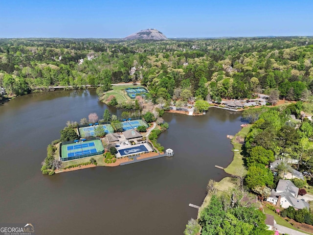 6960 Dockbridge Way, Stone Mountain, GA 30087 - aerial view of property and surrounding area featuring a heavily wooded area and a large body of water