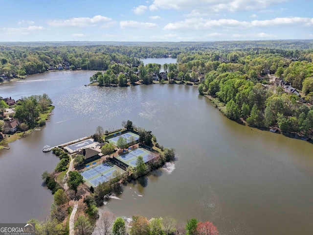 6960 Dockbridge Way, Stone Mountain, GA 30087 - bird's eye view of a large body of water