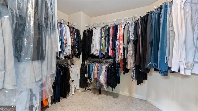 104 Kremer Falls Trce, Canton, GA 30114 - walk in closet with carpet