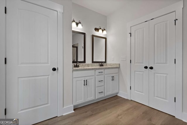 bathroom featuring a sink, double vanity, and wood finished floors