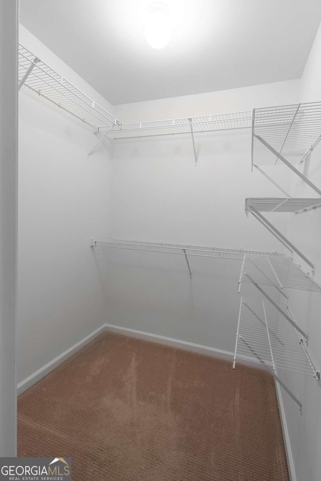 spacious closet with carpet