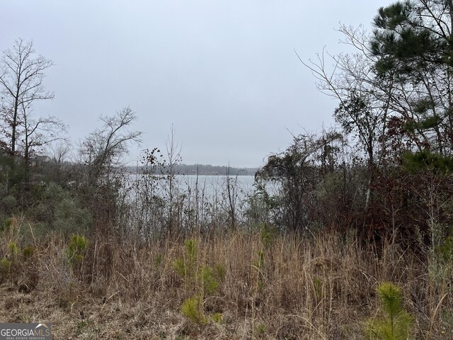 2336 Grand Harbour Dr, Lizella, GA 31052