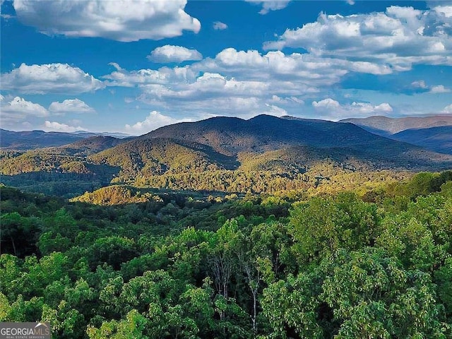 840 Greystone Trce, Ellijay GA, 30536 land for sale