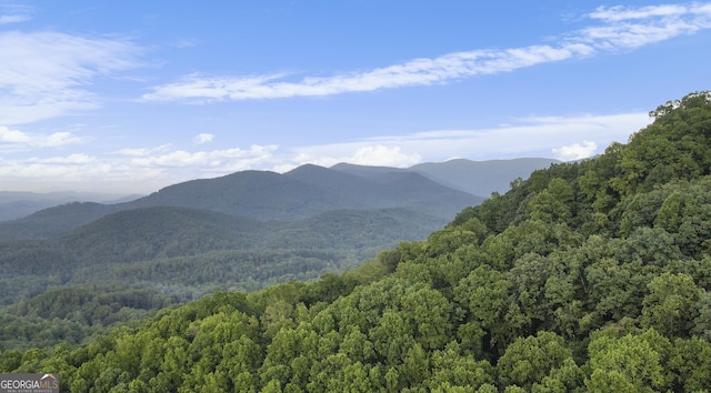 840 Greystone Trce, Ellijay, GA 30536