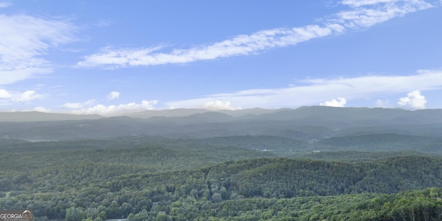 840 Greystone Trce, Ellijay, GA 30536