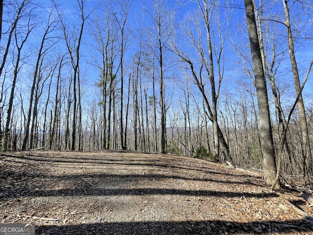 840 Greystone Trce, Ellijay, GA 30536