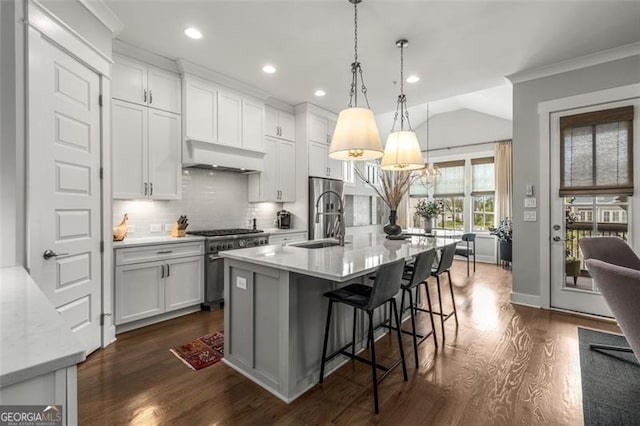 111 Brighton Blvd, Woodstock, GA 30188 - kitchen featuring dark wood-type flooring, tasteful backsplash, exhaust hood, and stainless steel appliances