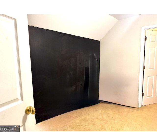 room details featuring carpet