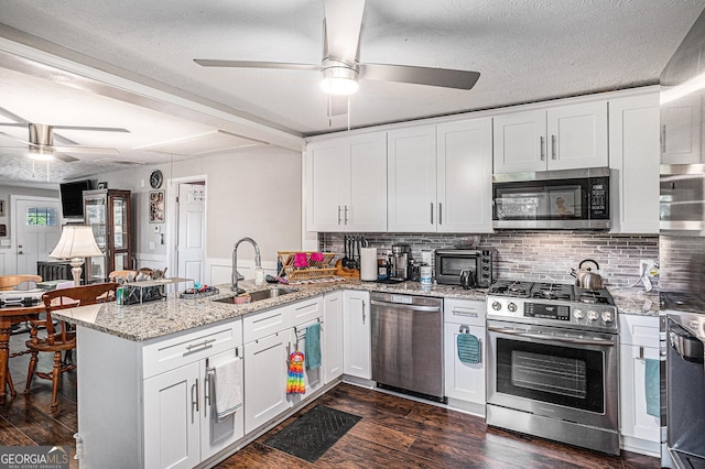 kitchen with stainless steel appliances, ceiling fan, a sink, a peninsula, and dark wood finished floors