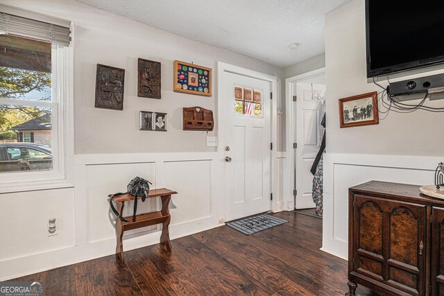 foyer entrance with dark wood-style floors, wainscoting, healthy amount of natural light, and a decorative wall