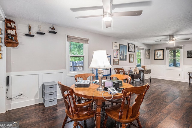 dining area featuring ceiling fan, wood finished floors, a wainscoted wall, plenty of natural light, and a textured ceiling